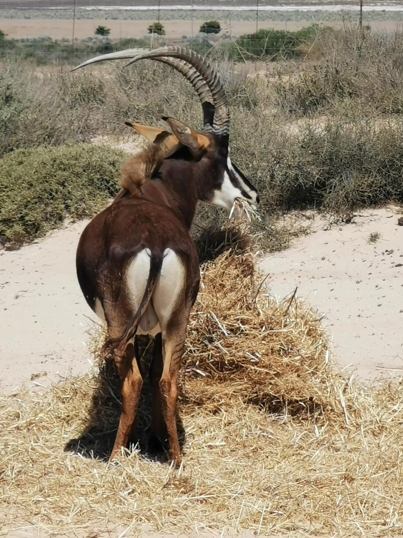 Lermitage Quagga Lodge - Chalets フェルドドリフ エクステリア 写真