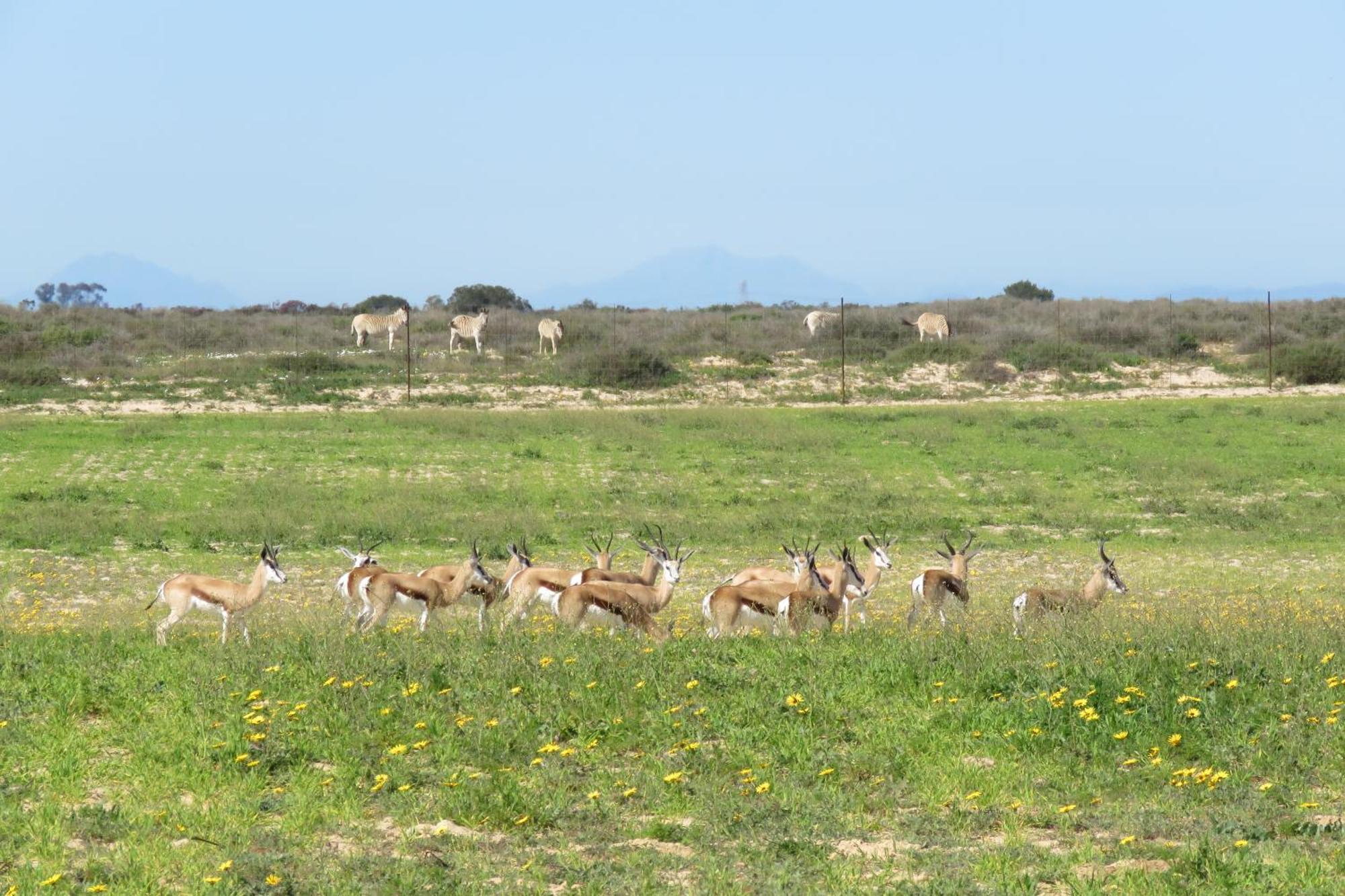 Lermitage Quagga Lodge - Chalets フェルドドリフ エクステリア 写真